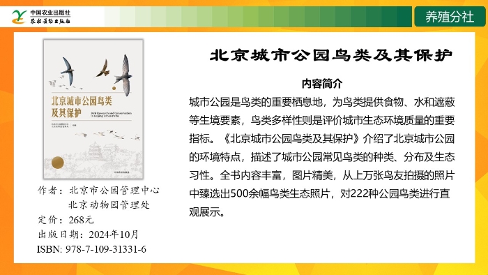 幻燈片15